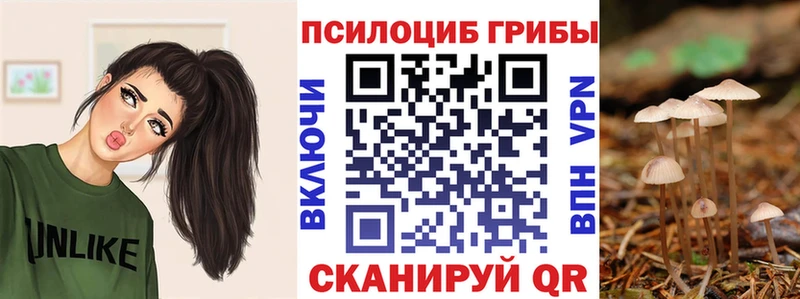 Галлюциногенные грибы Psilocybe  Калининград 