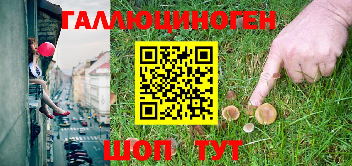 Псилоцибиновые грибы MAGIC MUSHROOMS  Вход с VPN  Калининград 