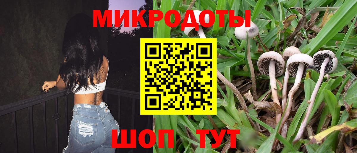 Галлюциногенные грибы MAGIC MUSHROOMS  Калининград  Галлюциногенные грибы прущие грибы 